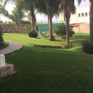 Meet your Posher, Frances